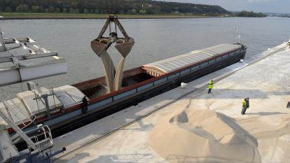 Россия планирует увеличить поставки удобрений в Бразилию